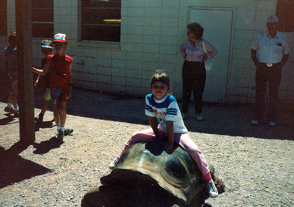 JENNA TURTLE 1990