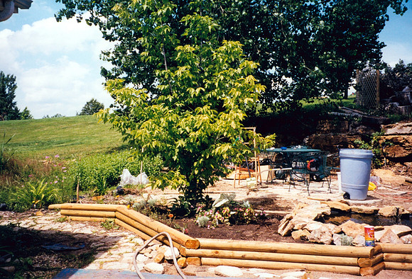 BACKYARD 7100 SUMMIT COURT 1998
