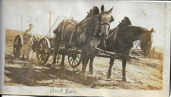 AUNT ROSIE AND TEAM OF HORSES 1920s