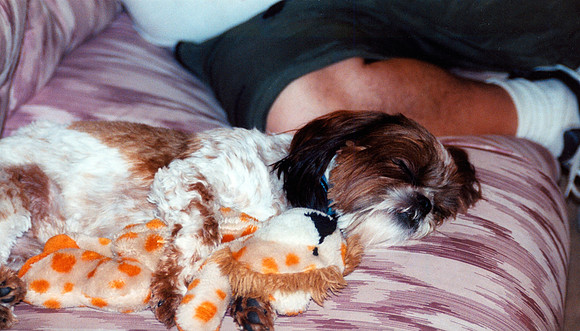 CHANDLER AND LION 3 2000
