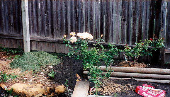 BACKYARD 7 2000