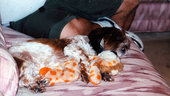 CHANDLER AND LION 2000