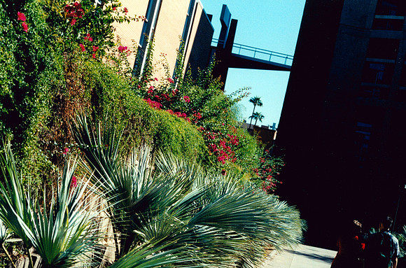 PARENTS WEEKEND ASU 1 2000