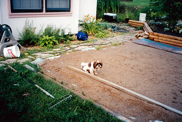 BACKYARD 7100 SUMMIT COURT CHANDLER 2000