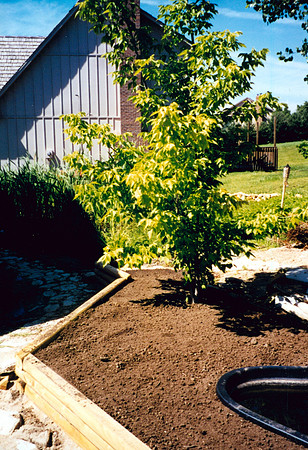 BACKYARD 7100 SUMMIT COURT 5 1998