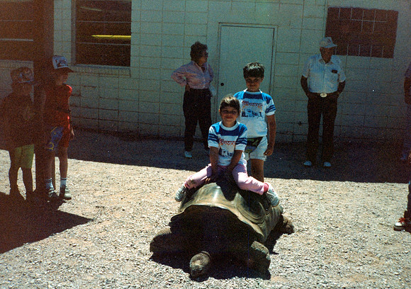 JENNA JEREMY TURTLE 1990