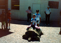 JEREMY AND JENNA TURTLE VACATION 1990