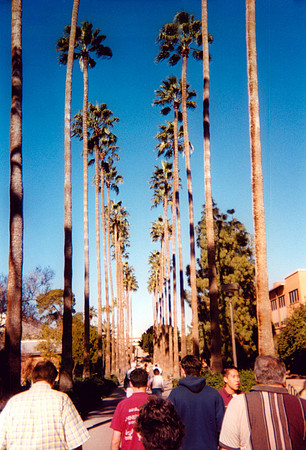 ASU 9 2000