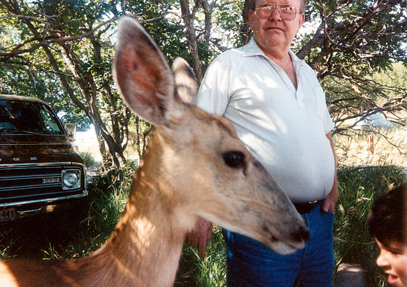 VACATION YELLOWSTONE 10 1990