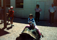 JENNA TURTLE VACATION 1990