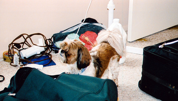 JENNA 2 2002