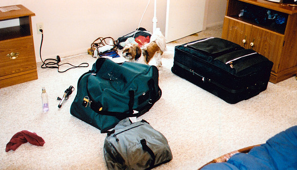 JENNA 2002