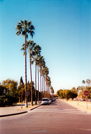 ASU 14 2000