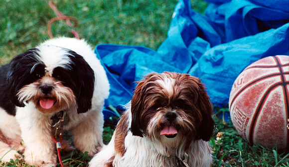 CHANDLER AND JOEY 2000